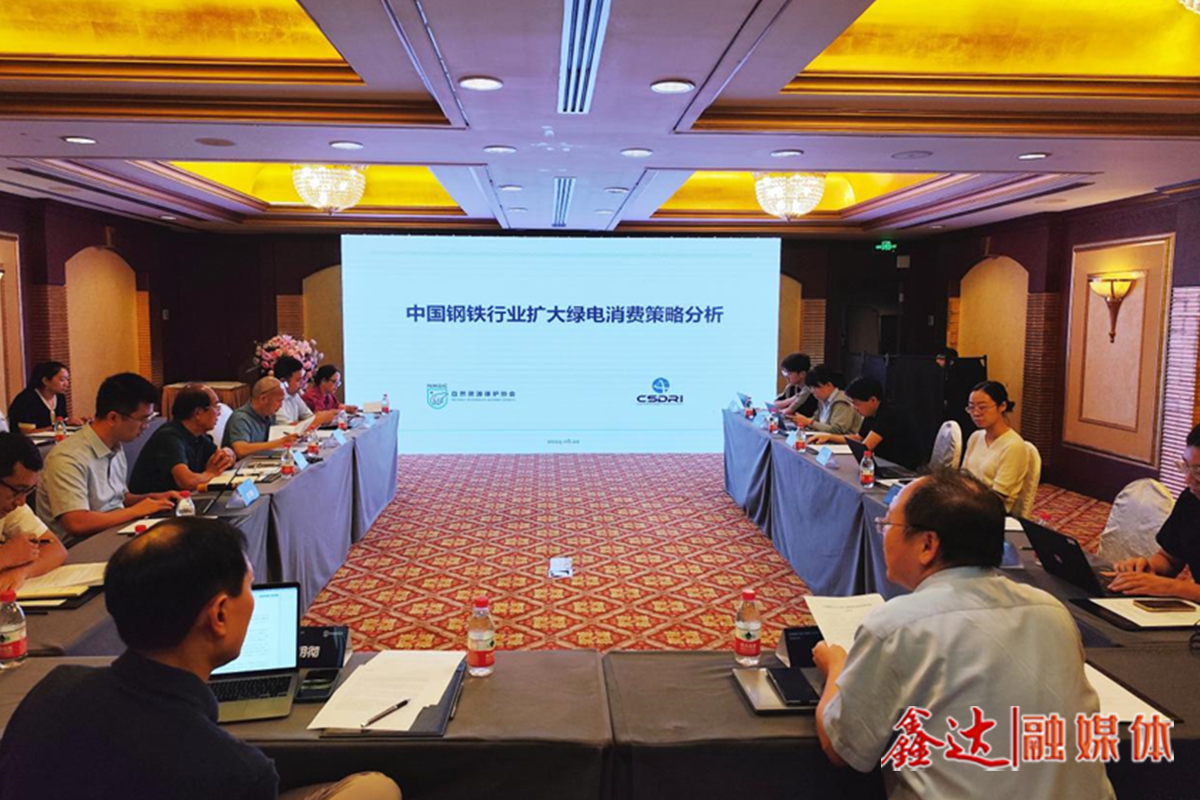 如何更好利用綠電這一減碳利器？——“中國鋼鐵行業擴大綠電消費策略分析”研討會側記